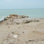 foto-grottamare-scogli14